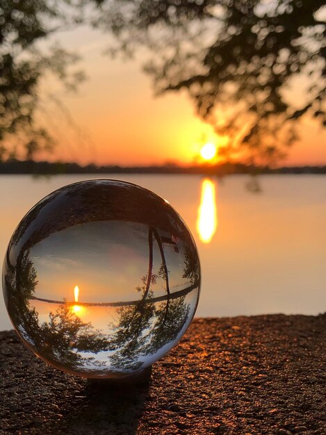 Foto primer plano de un naranjo junto al lago contra el cielo durante la puesta de sol