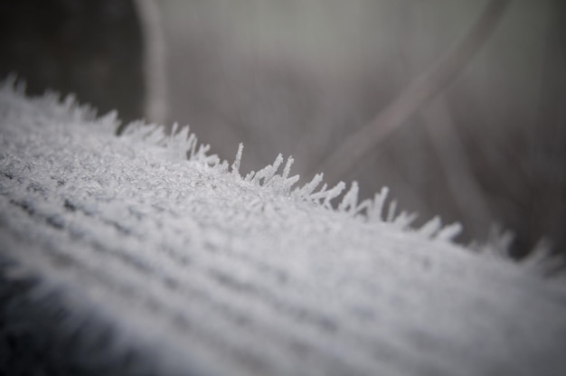 Primer plano de la nieve en la alfombra