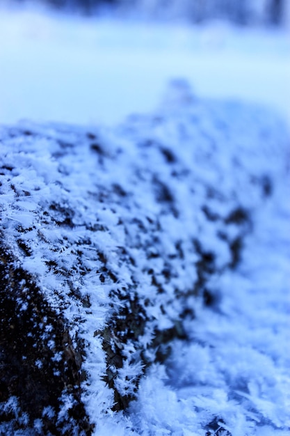 Primer plano de la nieve contra el cielo