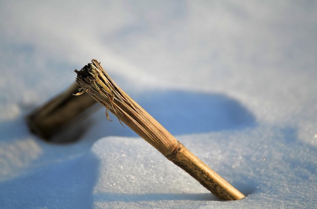 Foto primer plano de la nieve