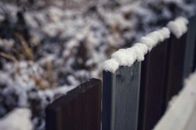 Foto primer plano de la nieve