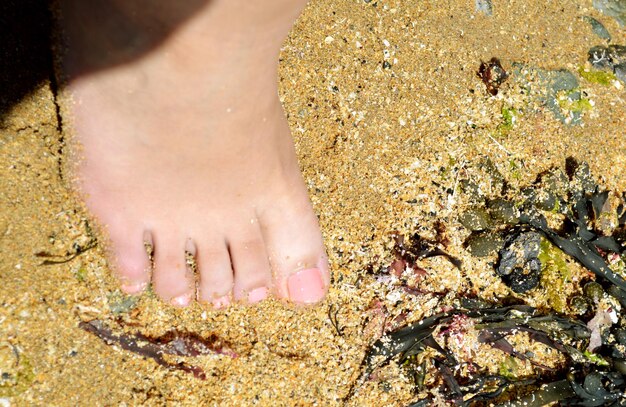 Foto un primer plano de las niñas con los pies en la playa