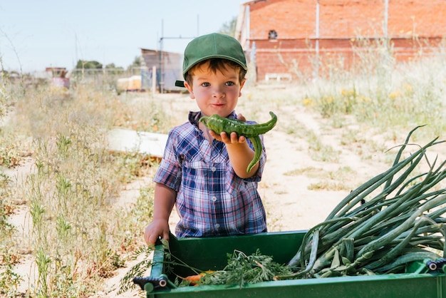 Primer plano de un niño con una gorra y camisa a cuadros mostrando un pimiento que ha recogido en su jardín