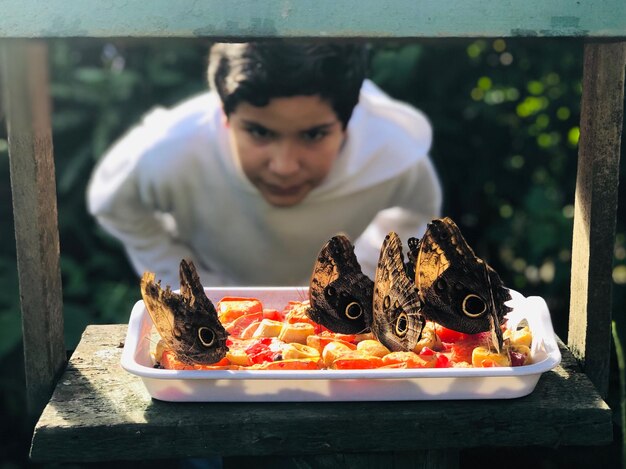 Foto primer plano de un niño mirando a las mariposas