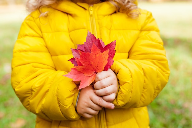 Primer plano de un niño una niña sosteniendo hojas rojas en el día de otoño