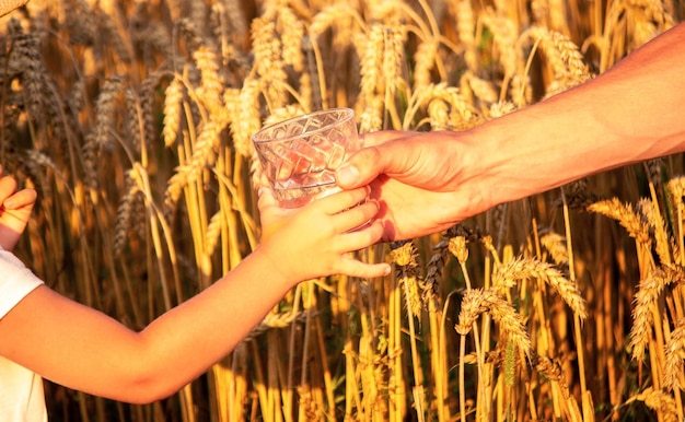 Primer plano de un niño sosteniendo un vaso de agua y bebiéndolo en un campo de trigo