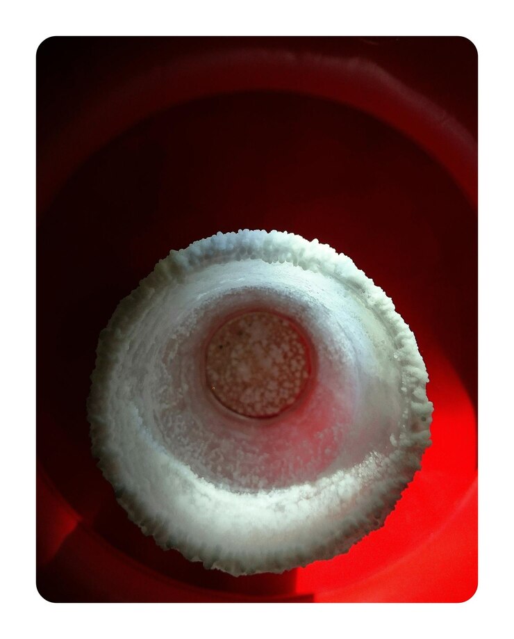 Foto primer plano del objeto rojo