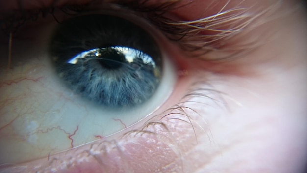 Primer plano del ojo azul