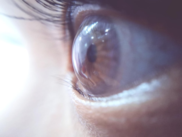 Primer plano del ojo humano