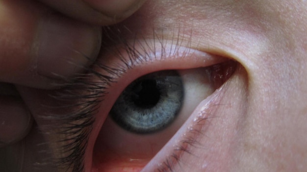 Primer plano del ojo humano