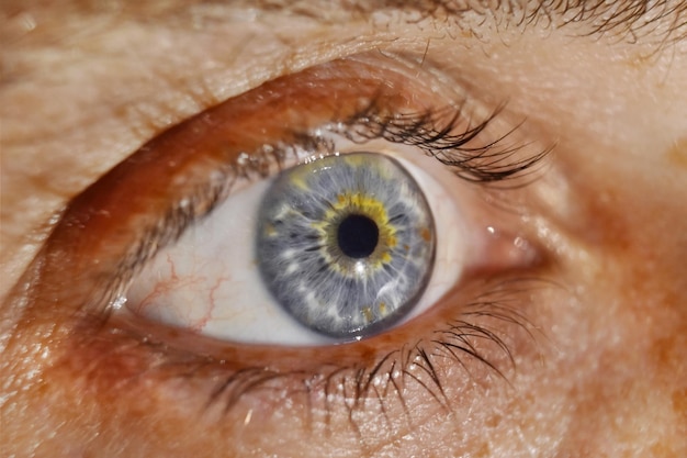 Primer plano del ojo humano