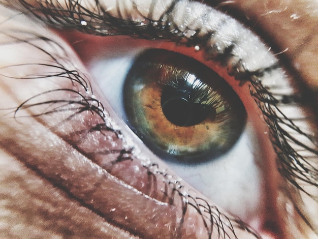 Primer plano del ojo humano