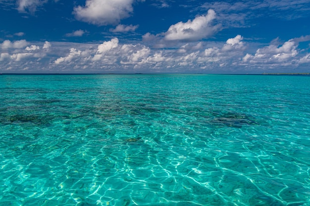 Primer plano de las olas del mar de la playa de arena y el cielo azul de verano. Paisaje panorámico de playa. Playa tropical vacía