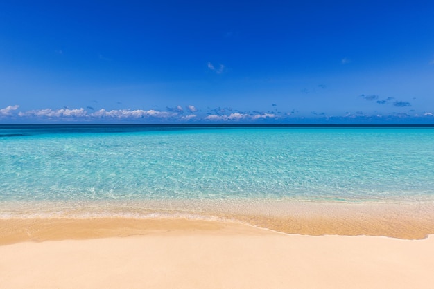 Primer plano de las olas del mar de la playa de arena y el cielo azul de verano. Paisaje panorámico de playa. Playa tropical vacía