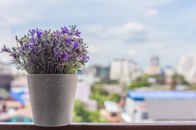 Primer plano de una olla de flores púrpura en la mesa