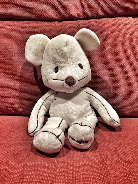 Primer plano de un oso de peluche en el sofá en casa