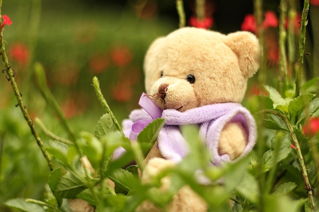 Un primer plano de un oso de peluche