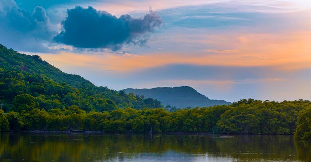 Un primer plano de un paisaje urbano y natural