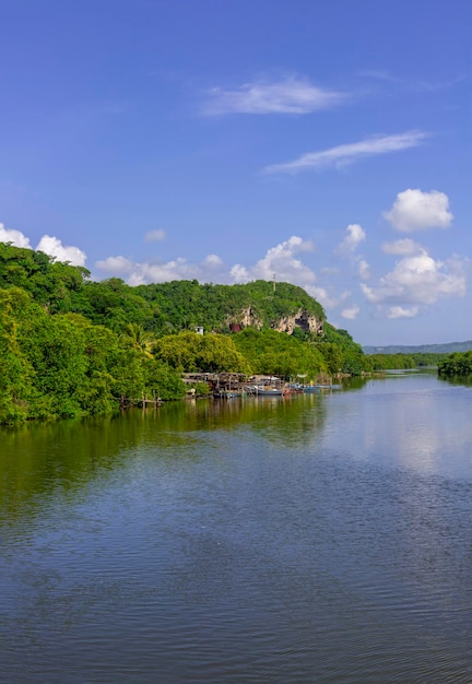 Un primer plano de un paisaje urbano y natural