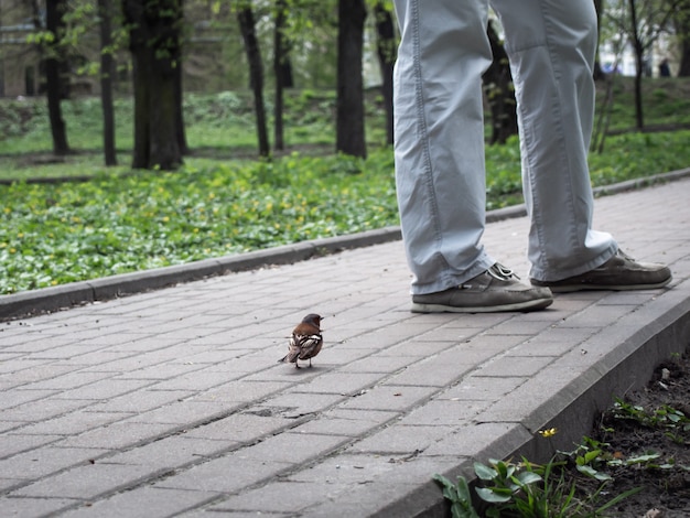 Un primer plano de un pajarito y un hombre.