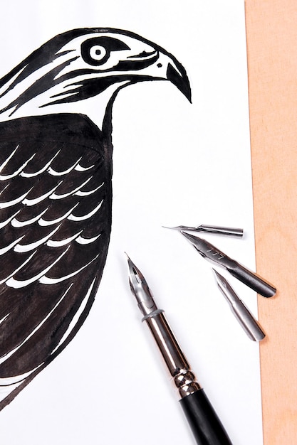 Primer plano de un pájaro contra un fondo blanco