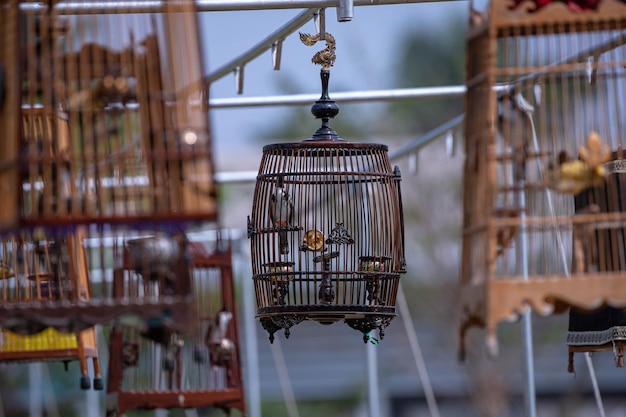 Foto primer plano de un pájaro en jaula