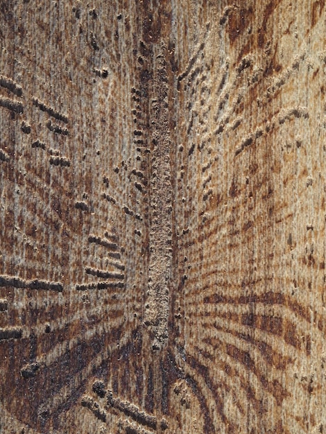 Foto un primer plano de un panel de madera con textura de grano de madera