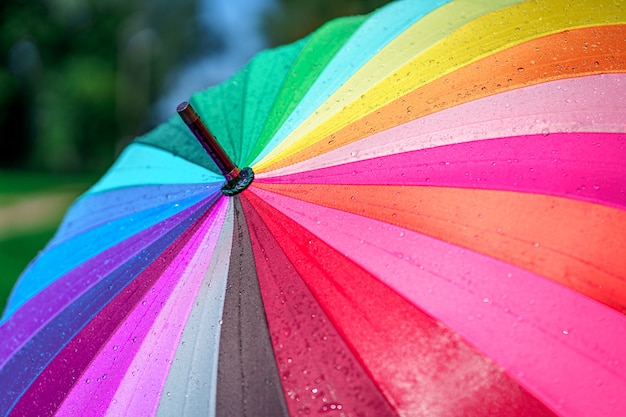 Primer plano de paraguas de colores brillantes del arco iris