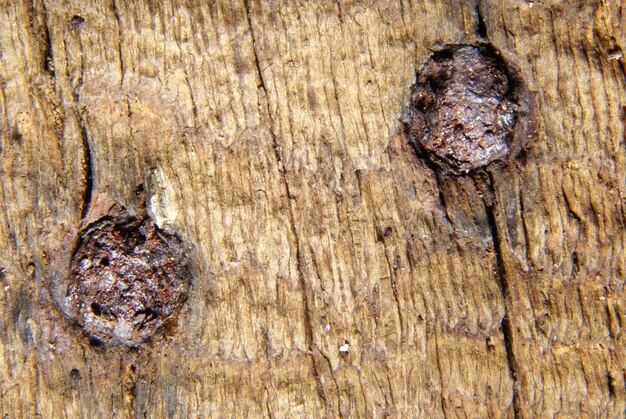 Foto primer plano de una pared de madera