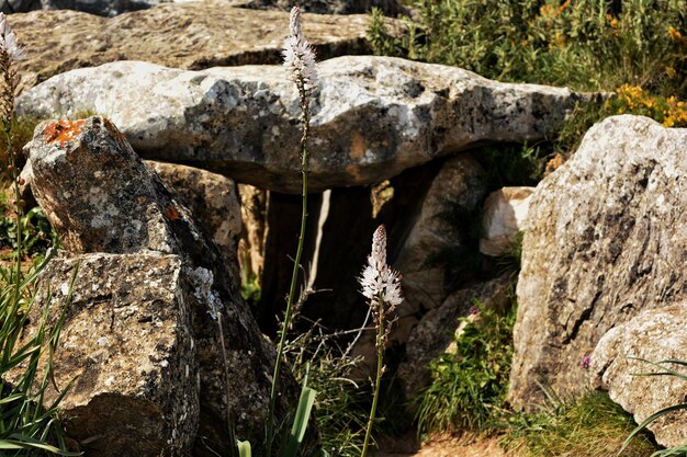 Foto primer plano de una pared de piedra