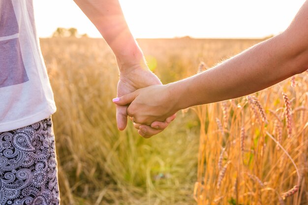 Primer plano de una pareja cogidos de la mano en la naturaleza amanecer