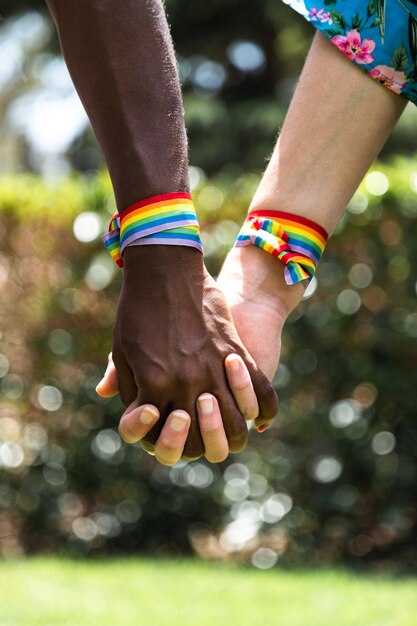 Primer plano de una pareja de lesbianas multirracial tomados de la mano con fondo borroso Vertical LGBT Love