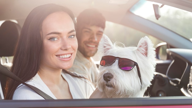 Primer plano, pareja, tenencia, perro, con, gafas de sol