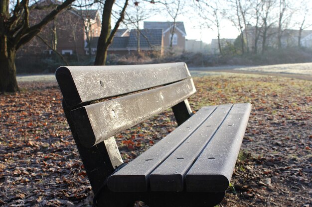 Foto primer plano del parque durante el otoño