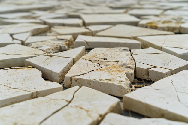 Foto un primer plano de la pasarela de piedra en el parque