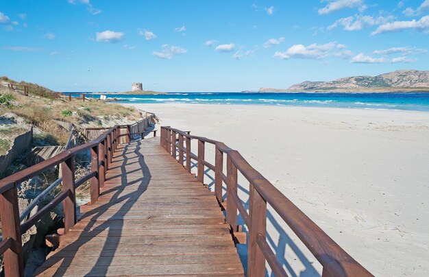 Primer plano de un paseo marítimo de madera en la playa de La Pelosa Cerdeña