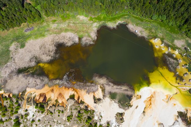 Foto primer plano de un pato en un lago