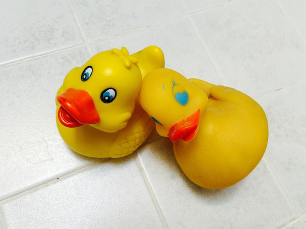 Foto primer plano de los patos de goma