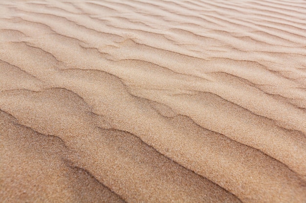 Primer plano del patrón de arena de una playa en verano