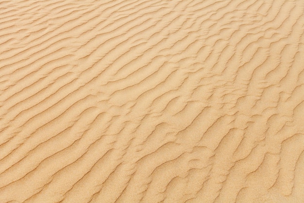 Primer plano del patrón de arena de una playa en verano