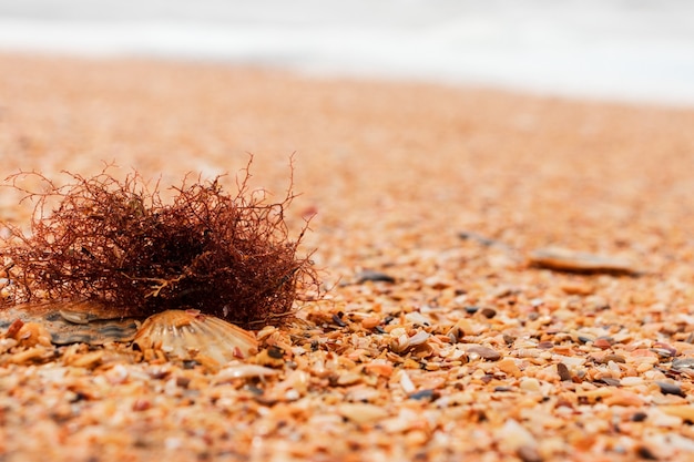 Primer plano del patrón de arena de una playa en verano