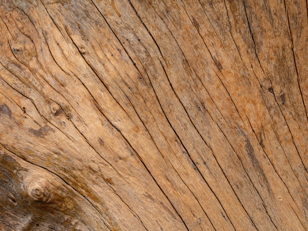 Primer plano del patrón de grano de madera oblicuo y nudoso