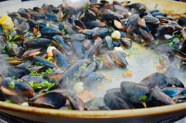 Foto primer plano de los peces en el agua