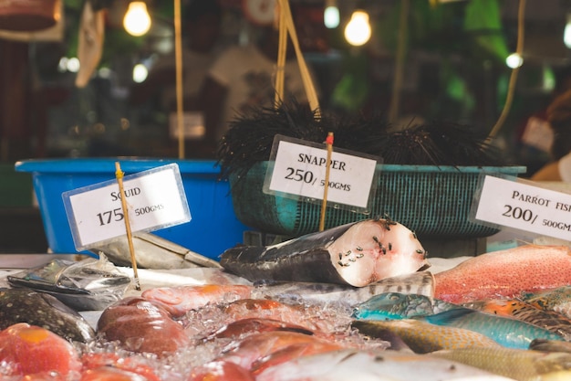 Primer plano de peces para la venta en el mercado