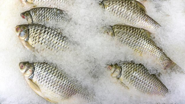 Primer plano de peces para la venta en el mercado