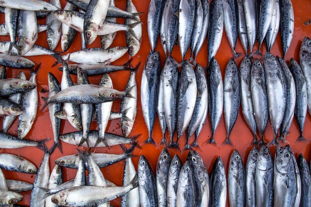 Foto primer plano de peces para la venta en el mercado