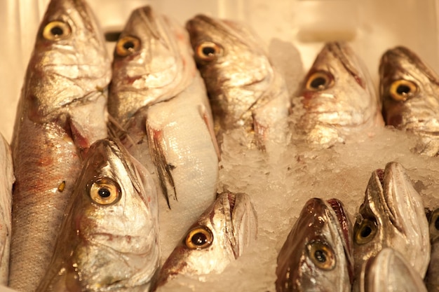 Foto primer plano de peces para la venta en el mercado