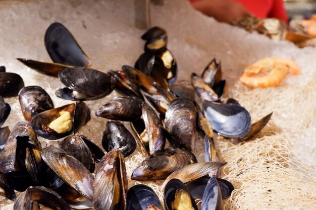 Foto primer plano de peces para la venta en el mercado