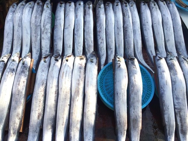 Primer plano de peces para la venta en el mercado