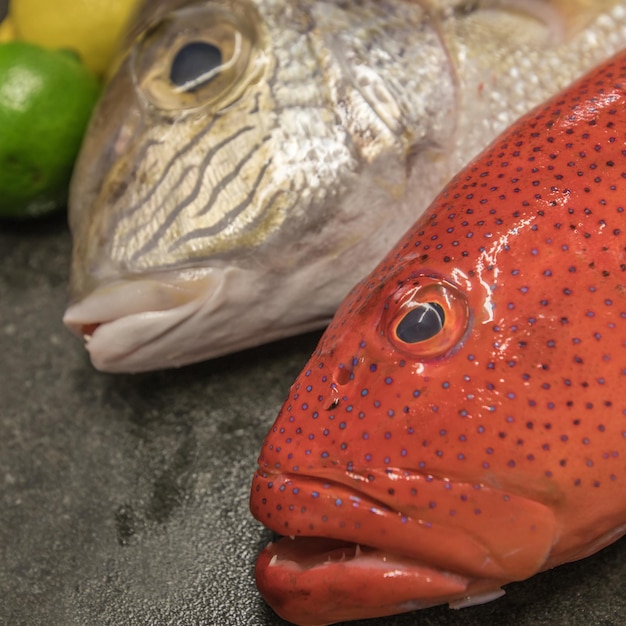 Primer plano de peces para la venta en el mercado